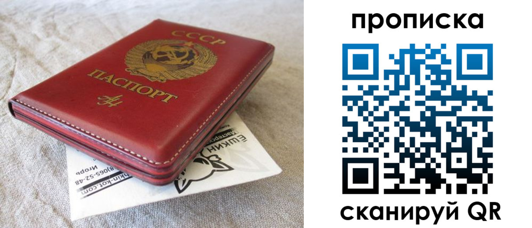 прописка для школы в Хасавюрте